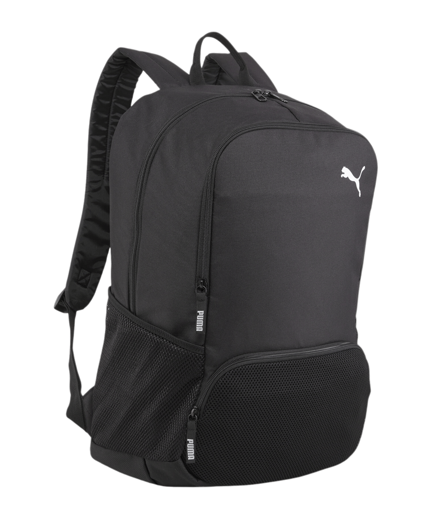 PUMA teamGoal Premium Rucksack Gr. XL Schwarz F01 - schwarz