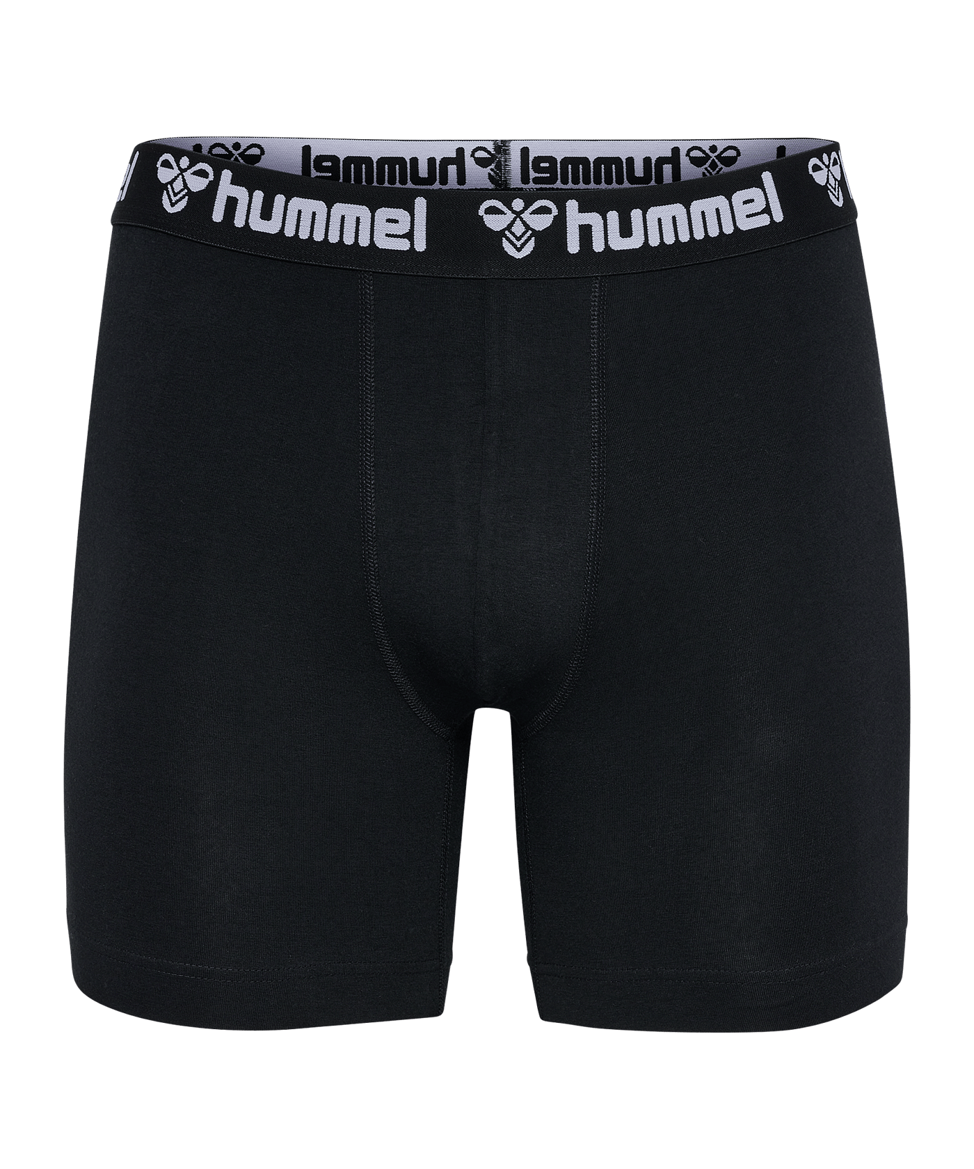 Hummel 2-Pack Underwear Shorts Grau F2006 - grau