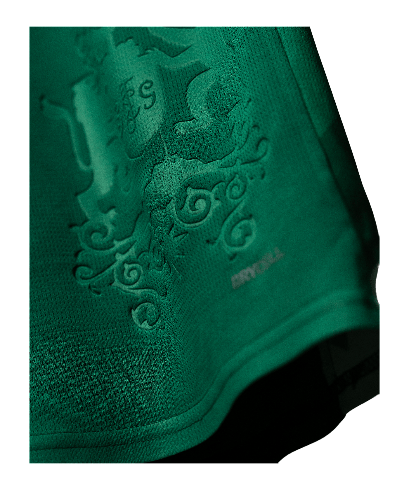 PUMA FC St. Gallen 1879 Trikot Home 2025/2026 Grün F01 - gruen