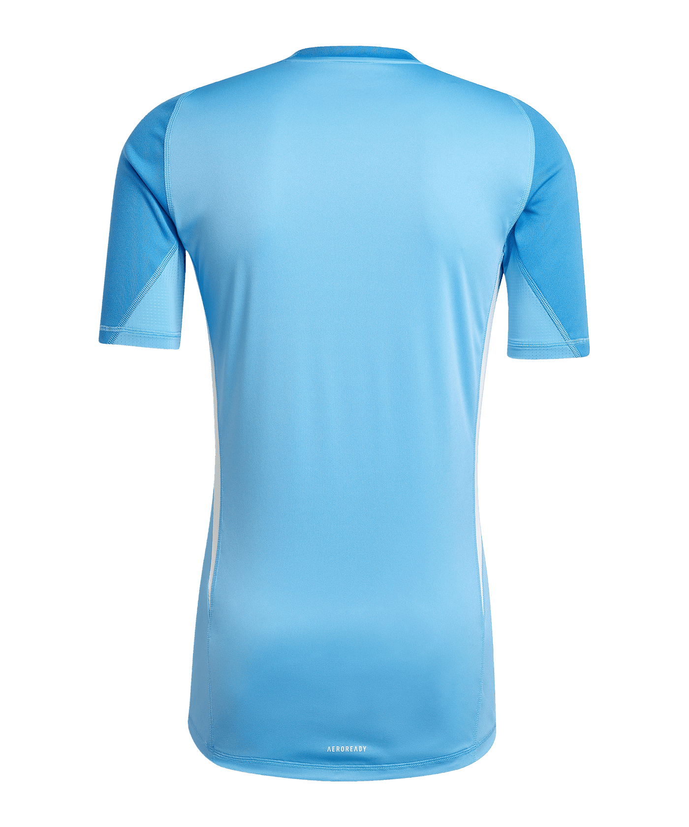 adidas Tiro 25 Pro Torwarttrikot Blau - blau