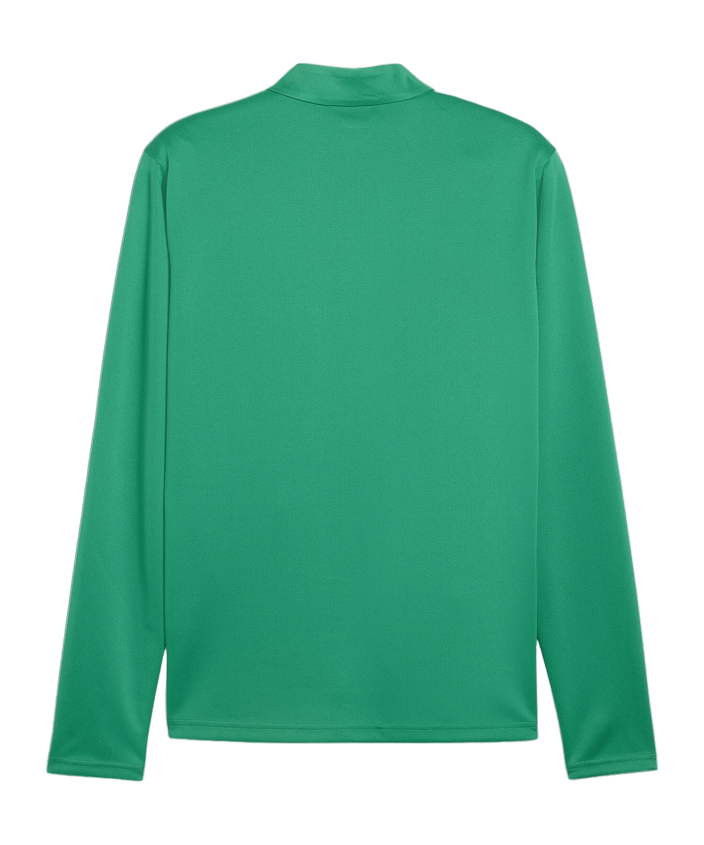 PUMA teamGOAL Trainingsjacke Grün F05 - gruen