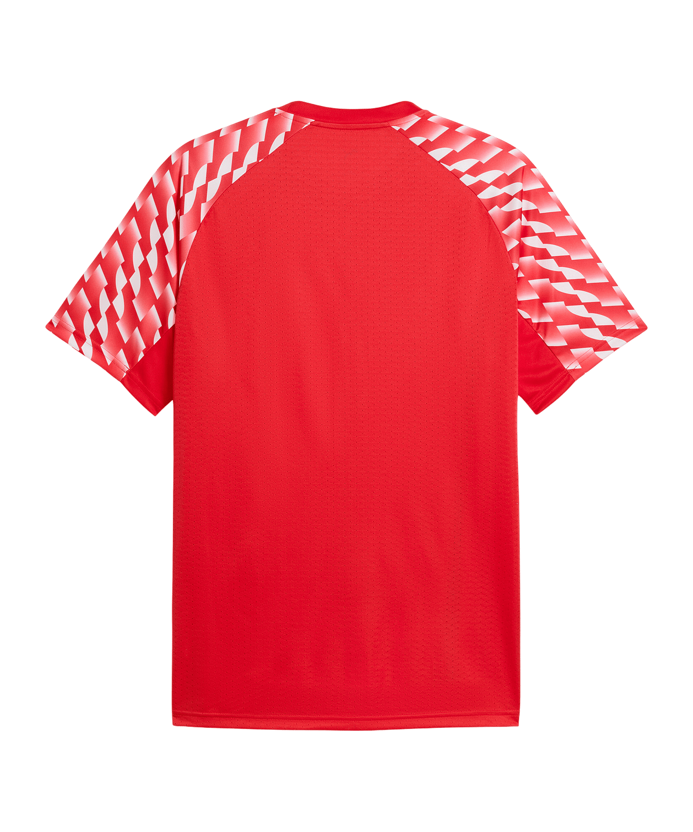 PUMA teamLIGA26 Trikot Rot F01 - rot