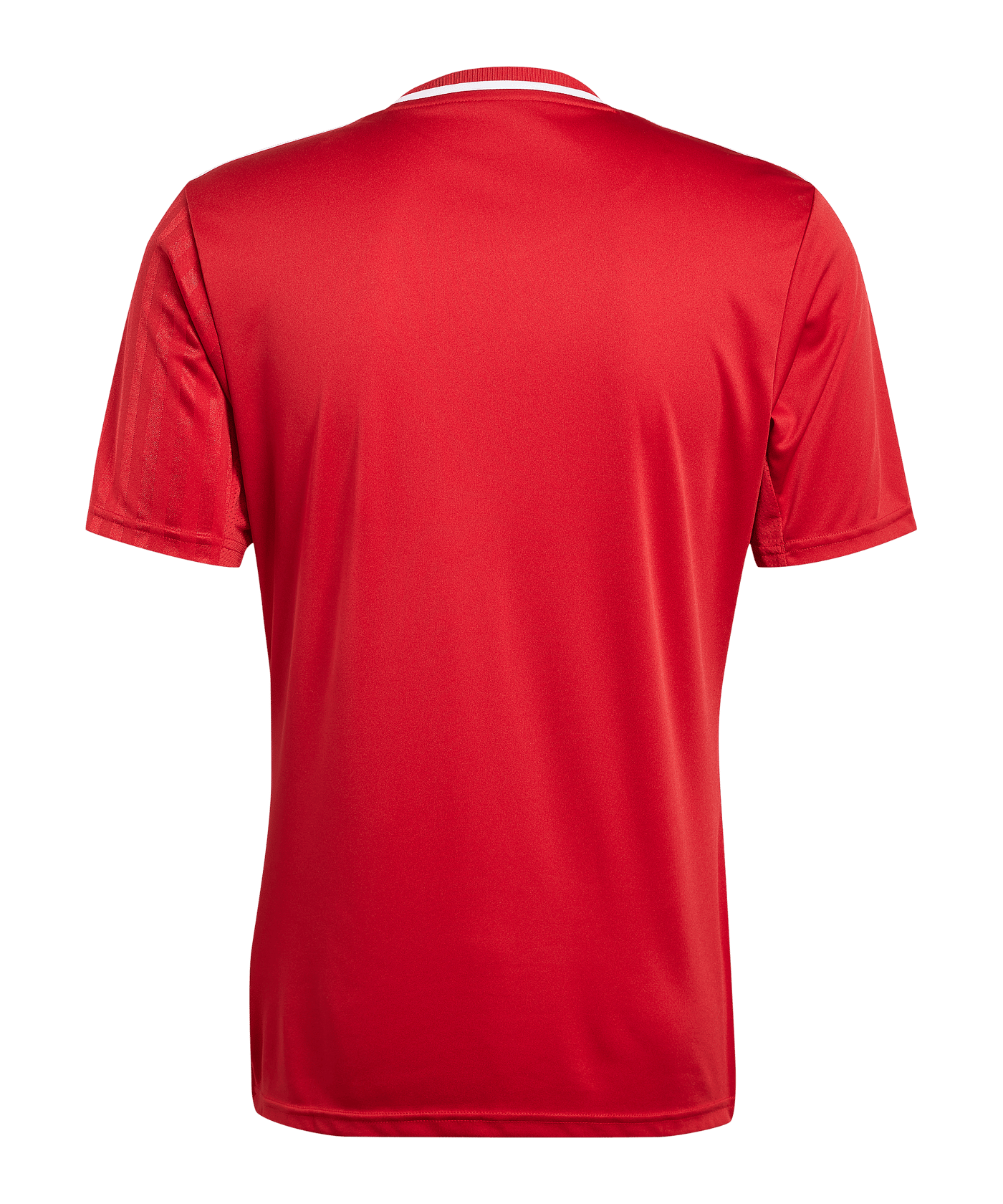 adidas Campeon 25 Trikot Rot - rot