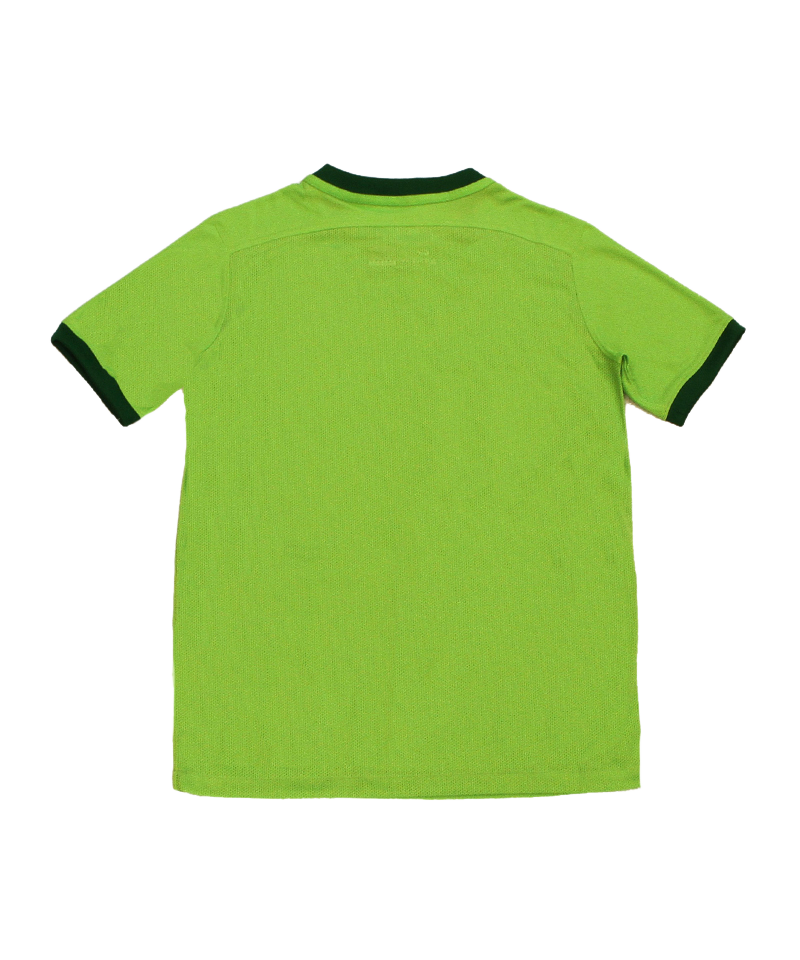 Nike Revolution III Trikot kurzarm Grün F313 - gruen