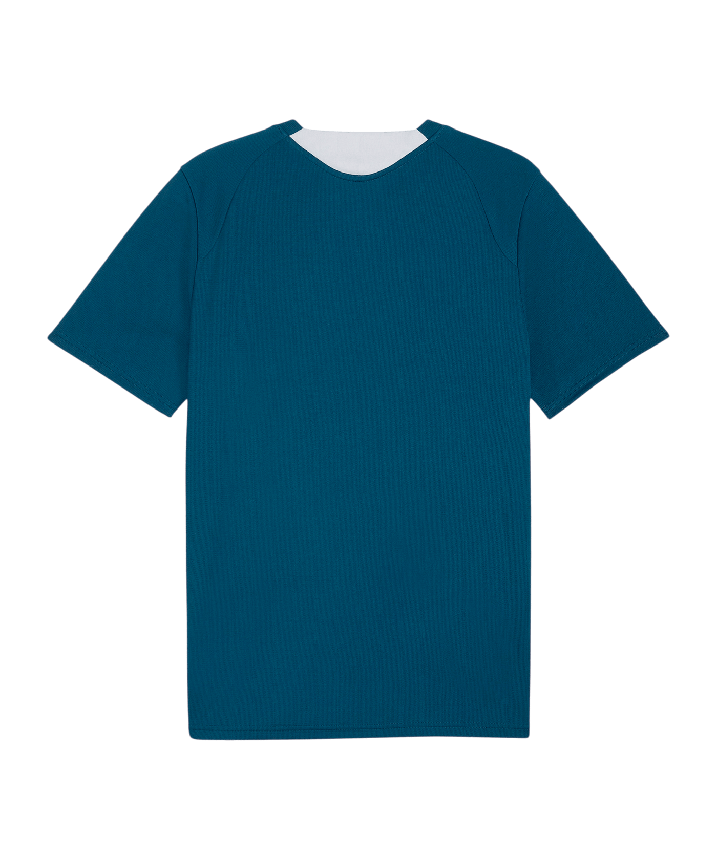 PUMA FPF Portugal Trainingsshirt Blau F15 - blau