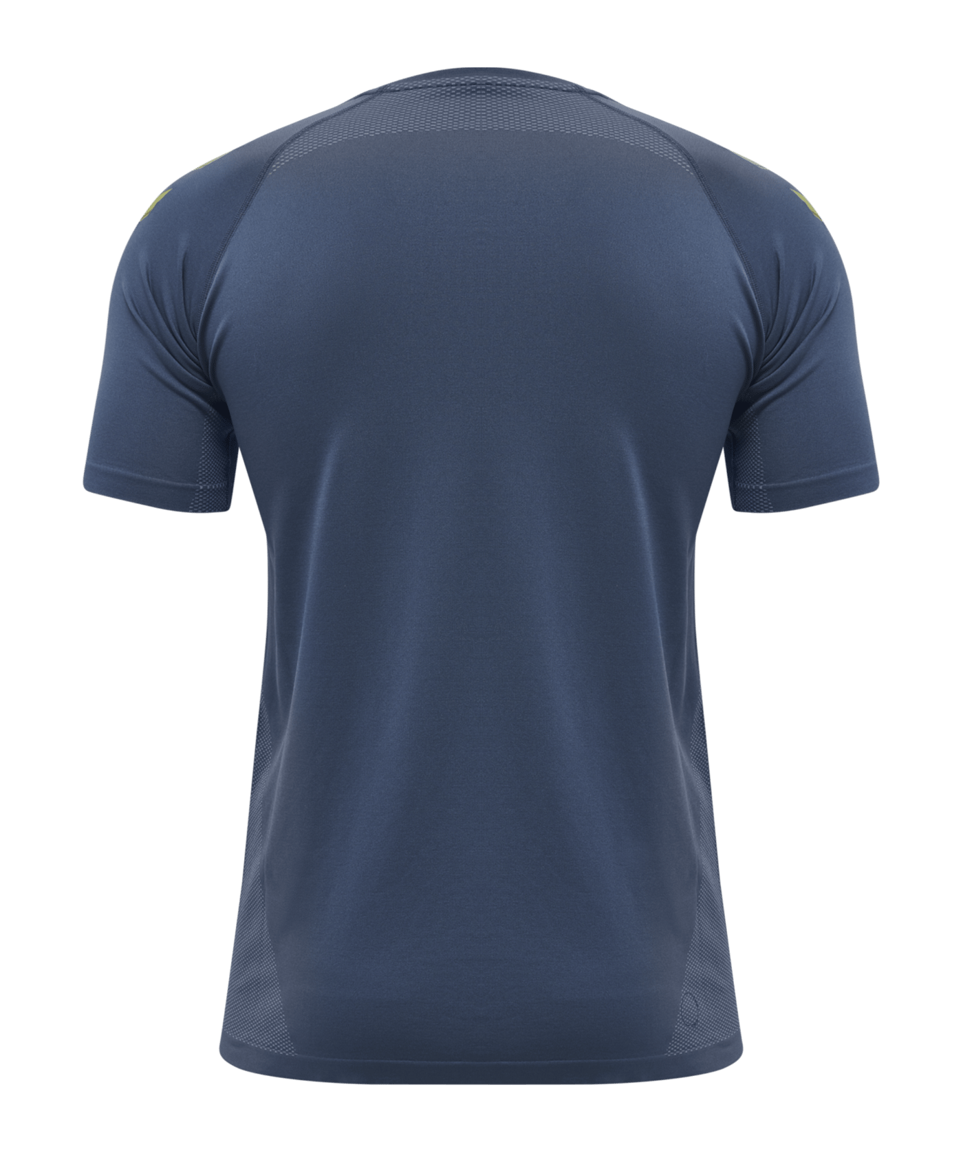 Hummel hmlLEAD Pro Seamless T-Shirt Training F7642 - blau