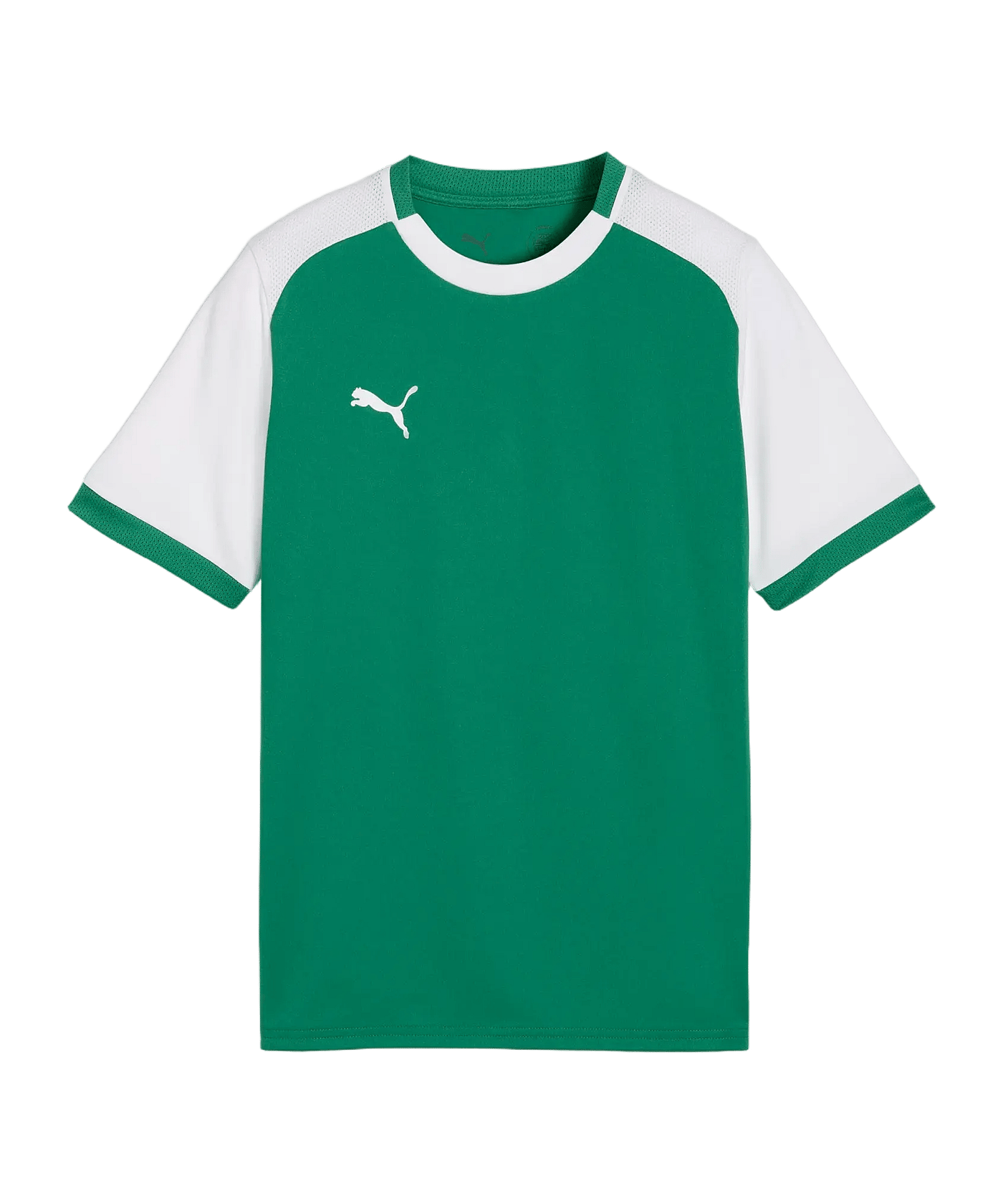 PUMA teamLIGA26 Matchday Trikot Kinder Grün F05 - gruen