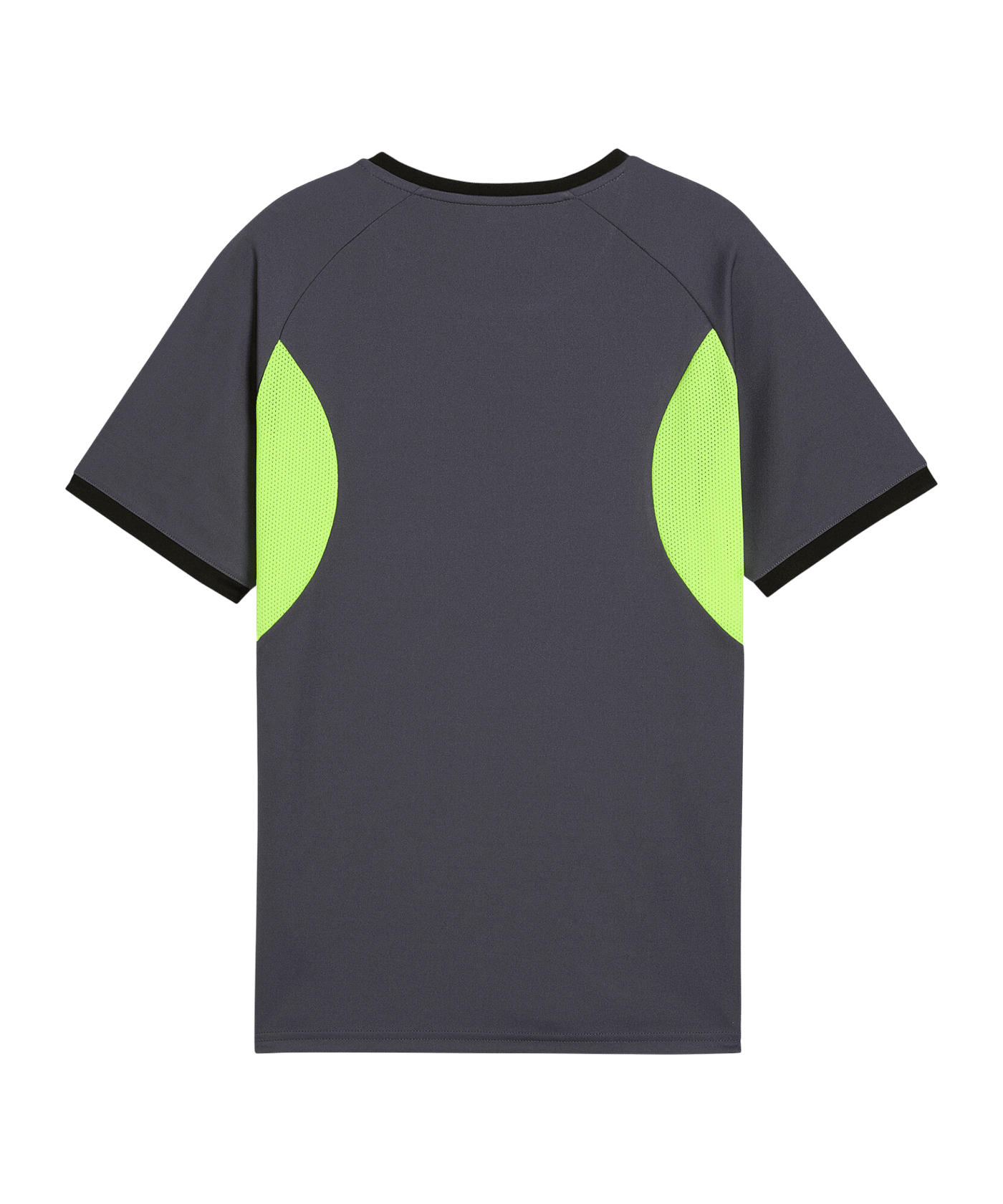 PUMA Trikot Kids Grau F08 - grau
