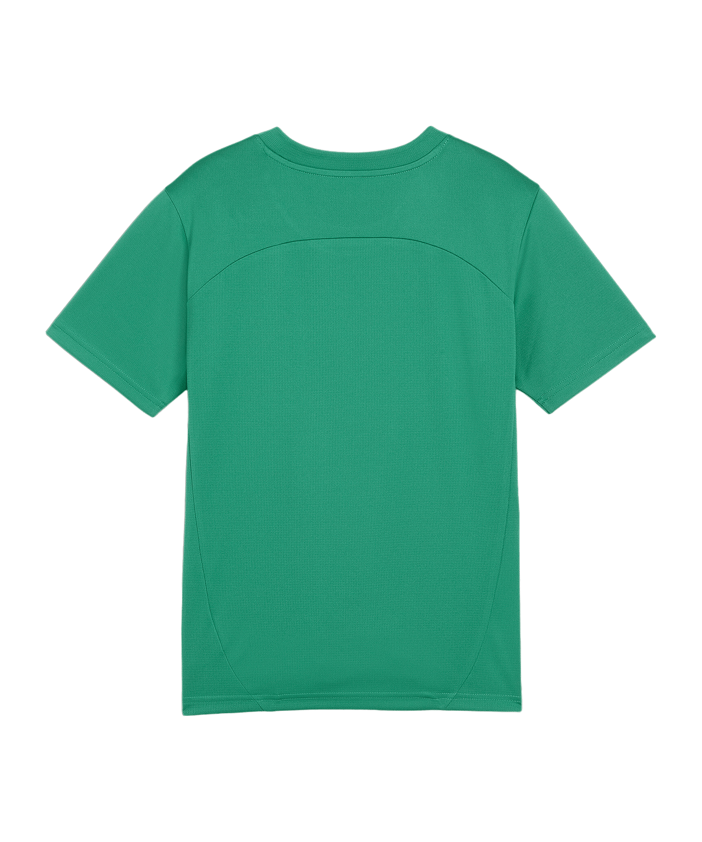 PUMA teamFINAL Trikot Kids Grün F05 - gruen