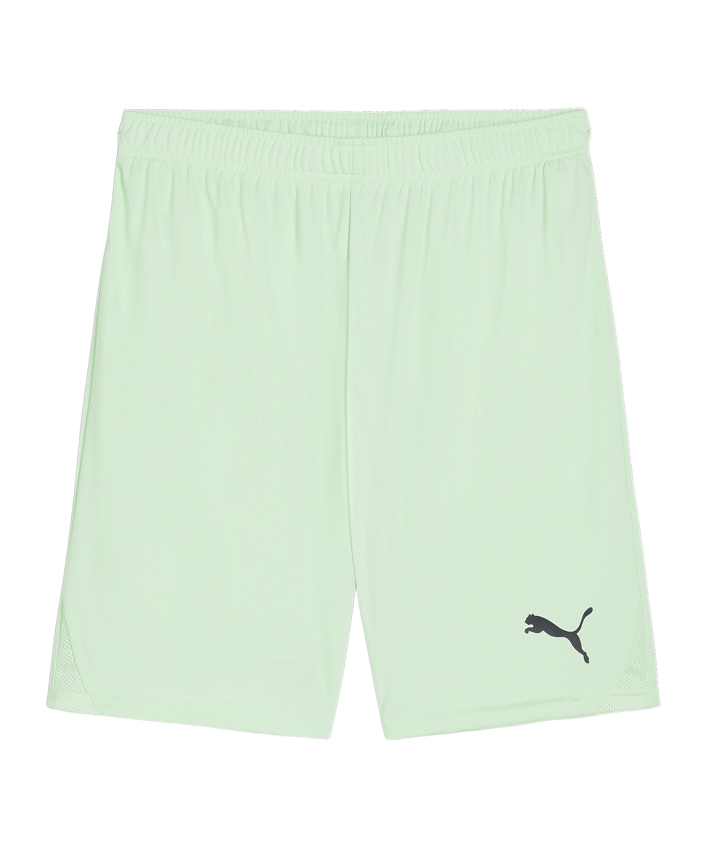 PUMA teamGOAL Short Grün Schwarz F60 - gruen
