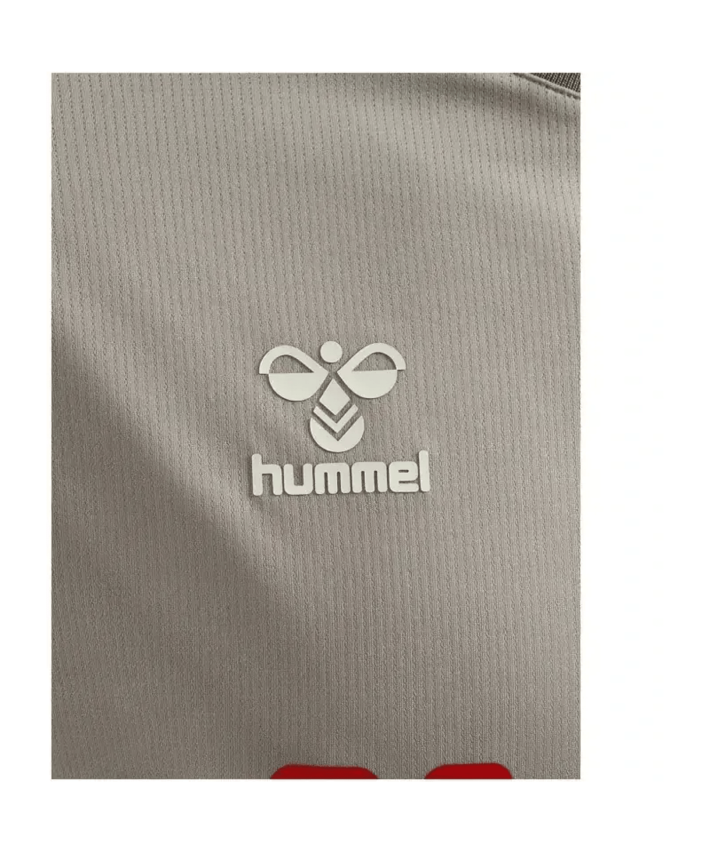 Hummel SSV Jahn Regensburg Trikot 3rd 2025/2026 Kids Violett F2540 - grau