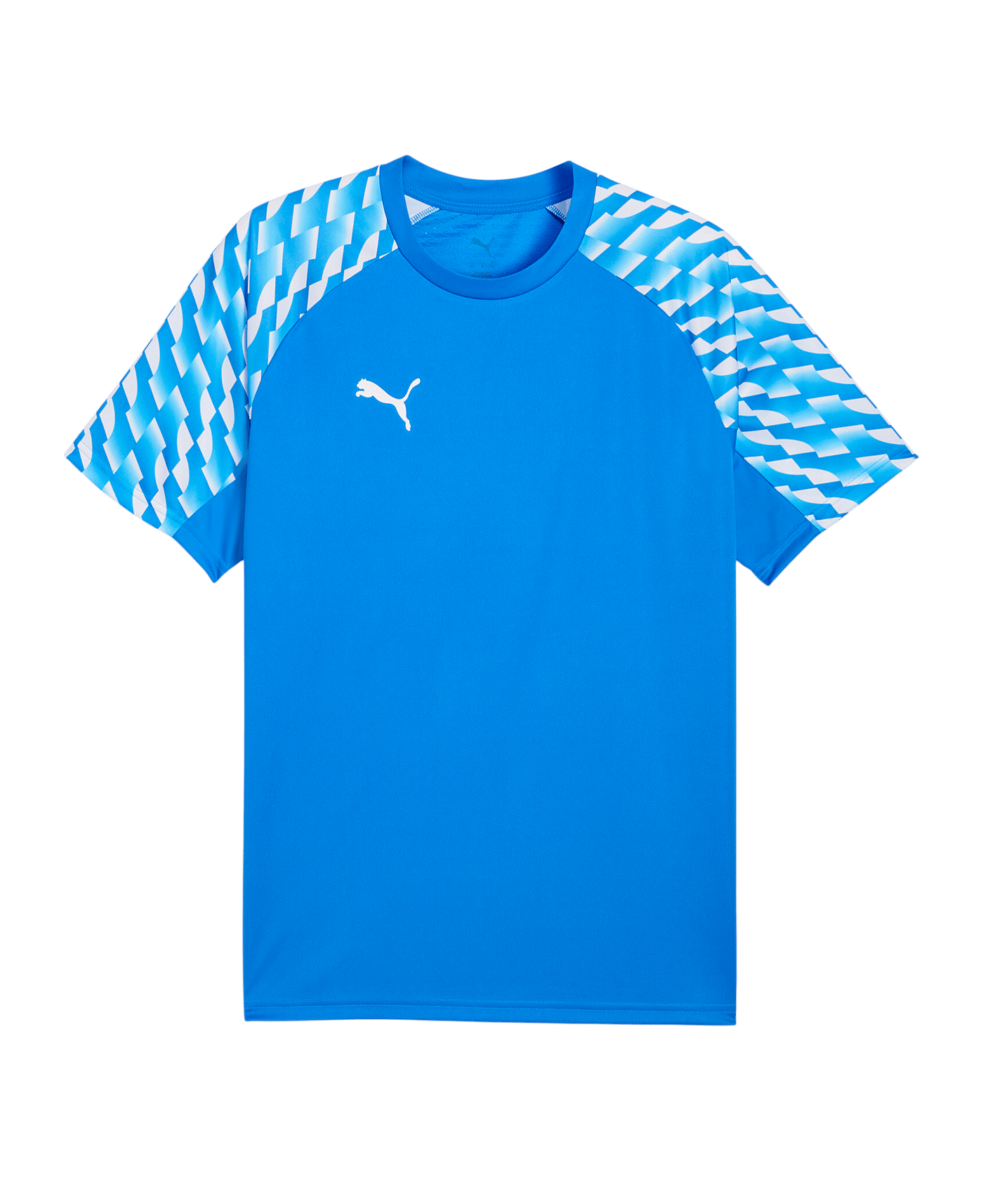 PUMA teamLIGA26 Trikot Blau F02 - blau