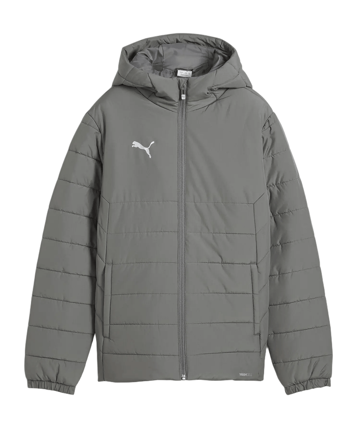 PUMA teamADDITIONS Jacke Kids Grau F13 - grau