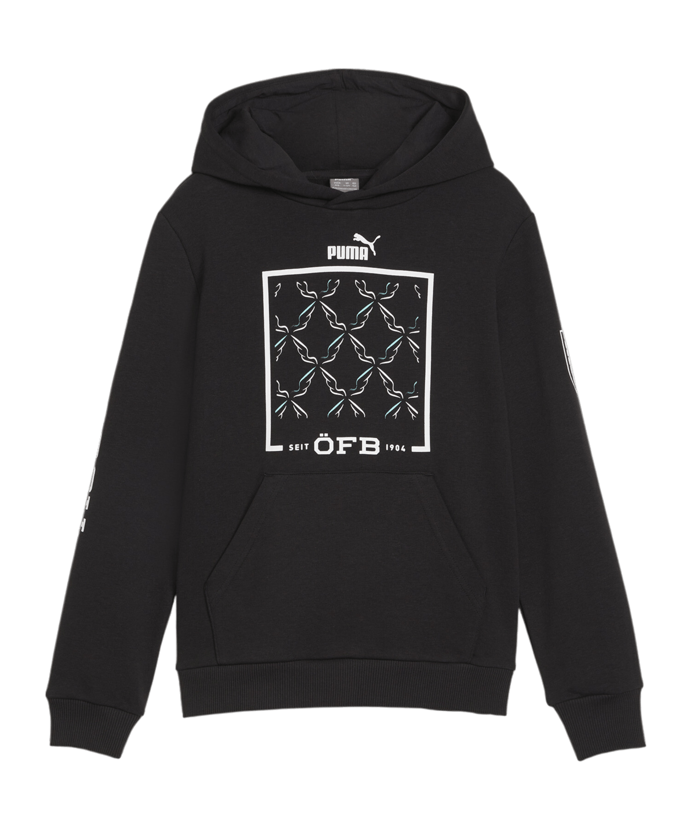 PUMA Österreich Ftbl Icons Hoody Kids Schwarz F08 - schwarz