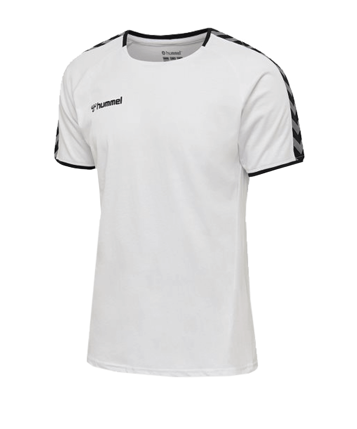 Maillot D'entraînement De Football Enfant As Saint Etienne Training Jr 24/25 HUMMEL