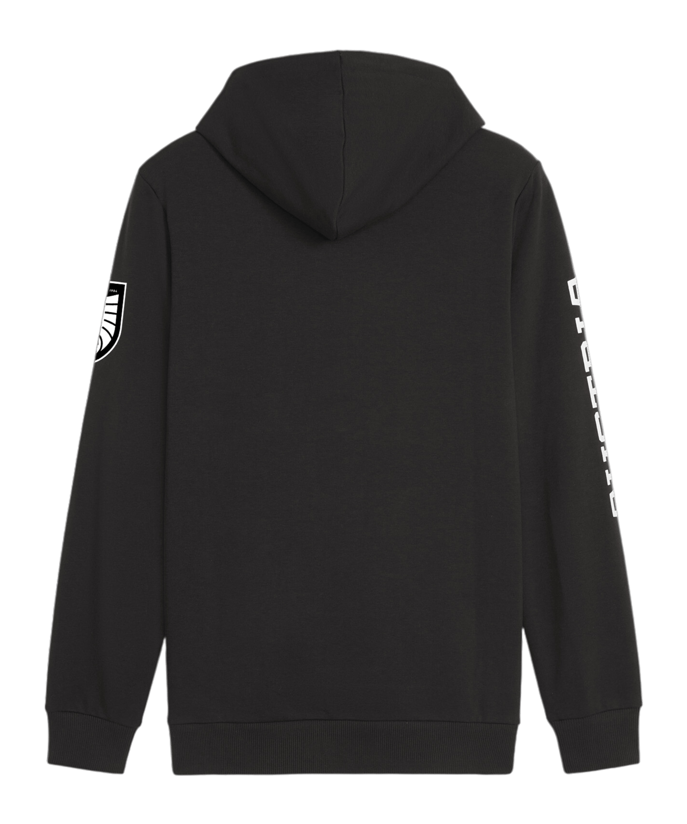 PUMA Österreich Ftbl Icons Hoody Schwarz F08 - schwarz
