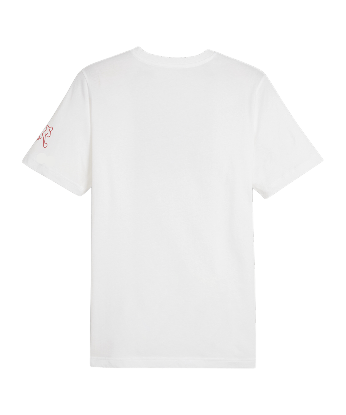PUMA Schweiz Ftbl Icons T-Shirt Weiss F15 - weiss