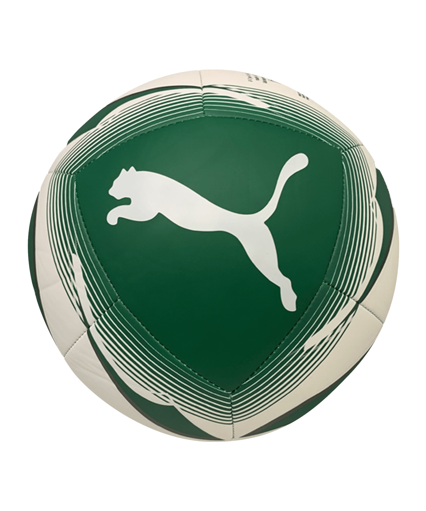 PUMA SK Rapid Wien Icon Ball Grün Weiss F01 - gruen