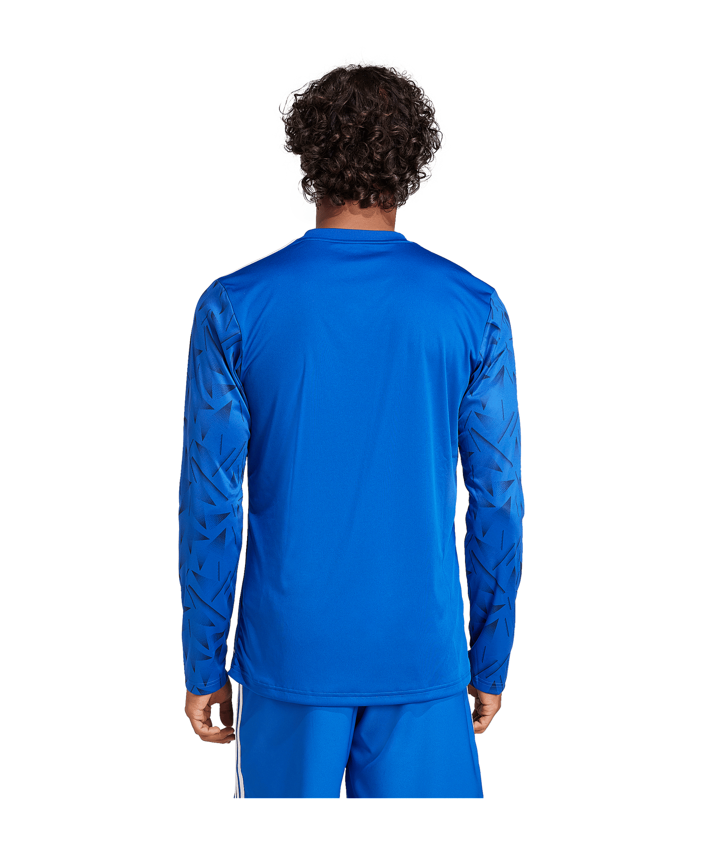 adidas Team Icon 25 Trikot Blau - blau