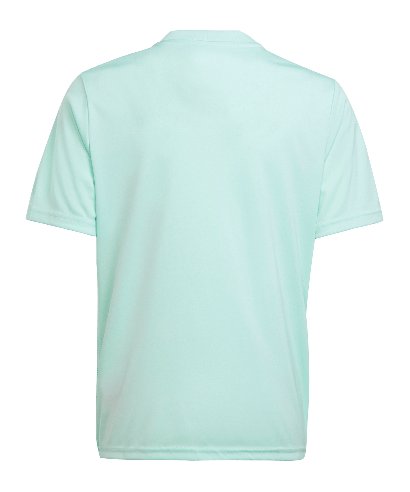 adidas Team Icon 23 Trikot Türkis - tuerkis
