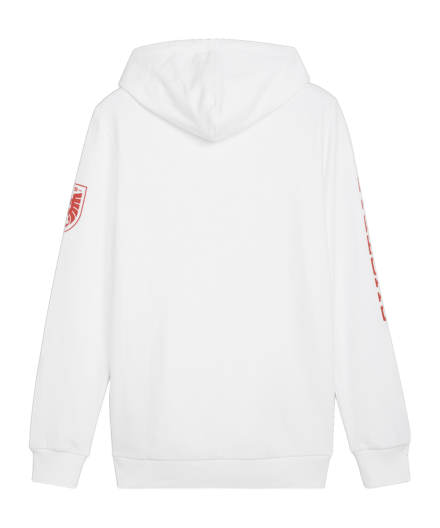 PUMA Österreich Ftbl Icons Hoody Weiss F09 - weiss