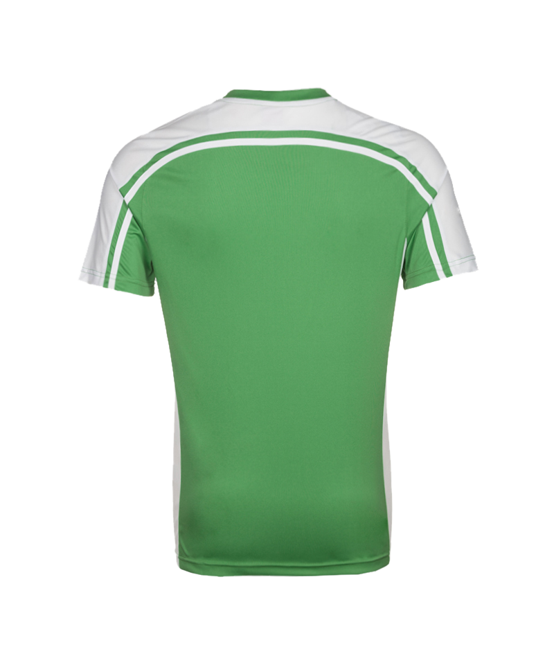 11teamsports Clásico Trikot Grün Weiss F30 - gruen