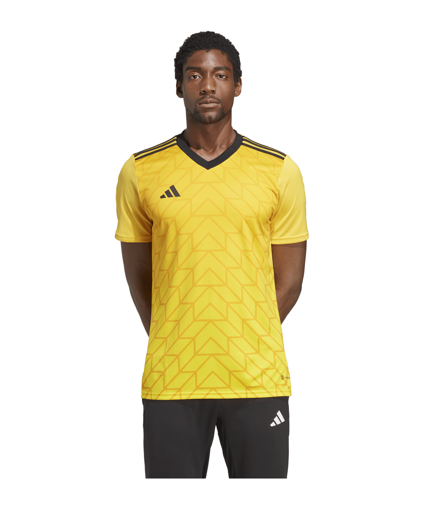 adidas Team Icon 23 Trikot Gold - gold