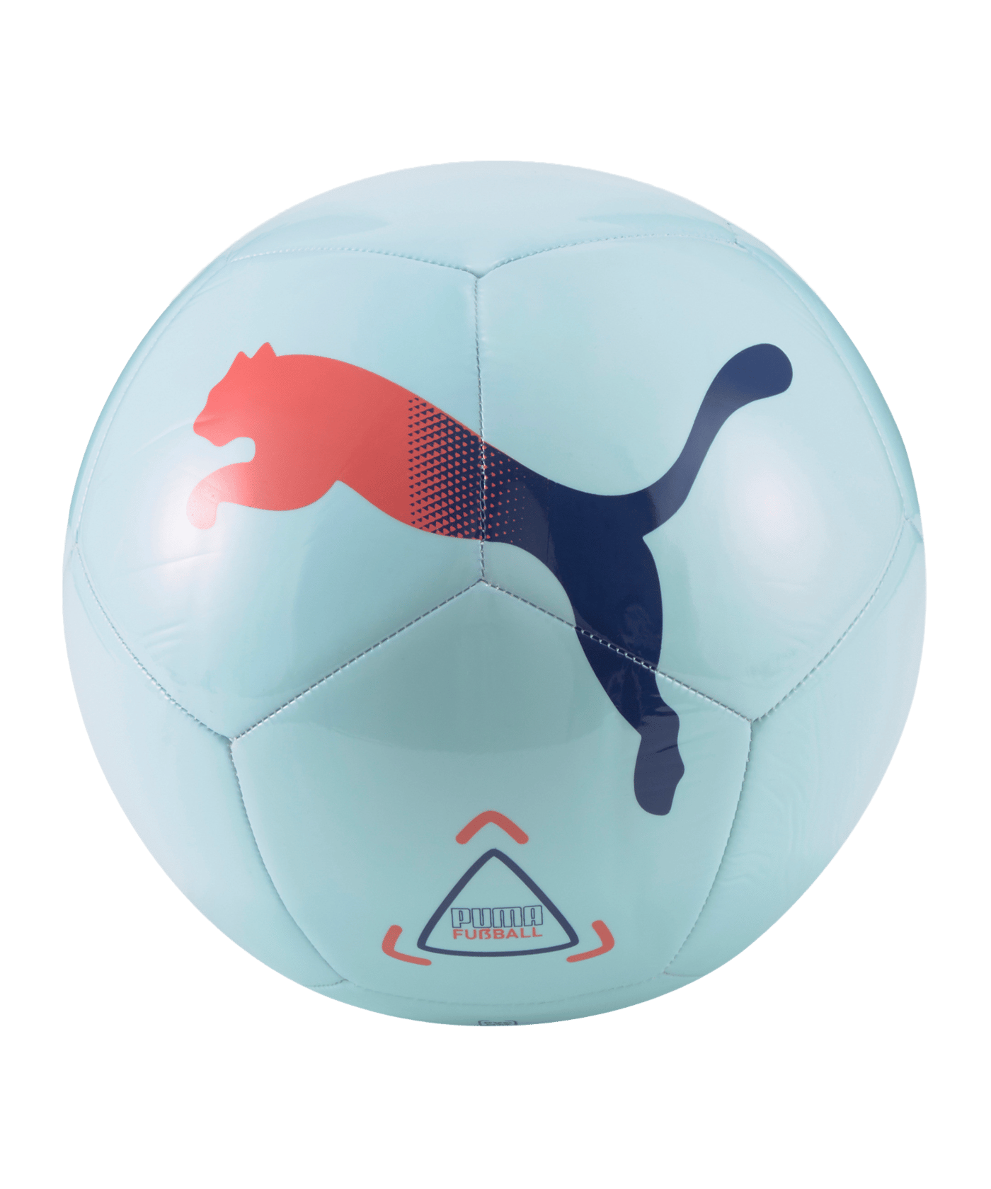 PUMA Icon Trainingsball Blau F09 - blau
