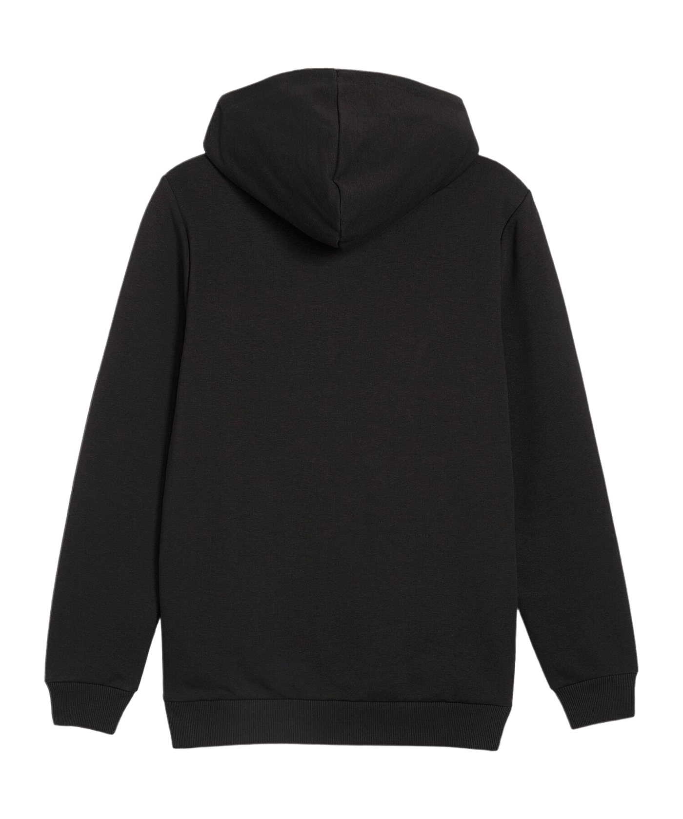 PUMA BVB Dortmund Ftbl ICONS Hoody Schwarz F03 - schwarz