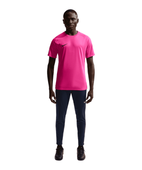 Nike Park VIII Trikot Rosa F616