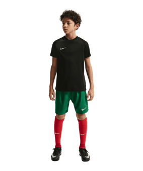 Nike Park VIII Trikot Kids Schwarz F010 - schwarz