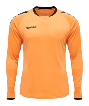 Hummel Core GK Torwarttrikotset Kids Orange F5006 - orange