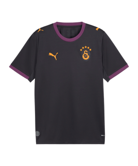 PUMA Galatasaray Istanbul Replica Trikot Away 2026/2027 Grau F05 - grau