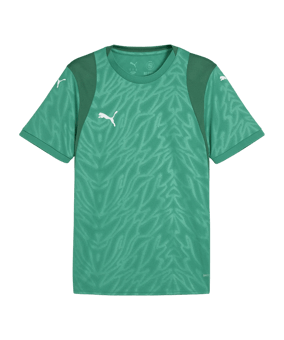 PUMA TeamCUP Trikot Grün F05 - gruen