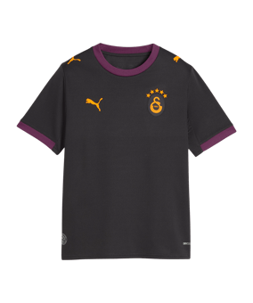 PUMA Galatasaray Istanbul Replica Trikot Away 2026/2027 Kids Grau F05 - grau