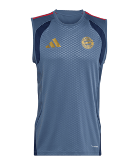adidas FC Bayern München Sleeveless Trainingsshirt 2026/2027 Blau - blau