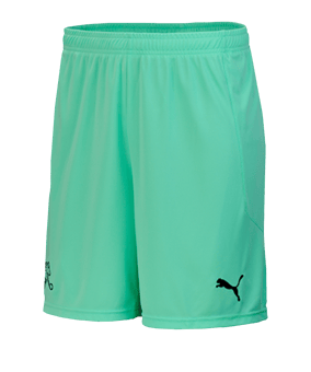 PUMA Schweiz Torwartshort EM 2020 Grün F04 - gruen