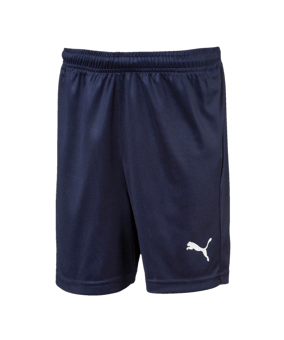 PUMA LIGA Core Short Kids Blau Weiss F06 - blau