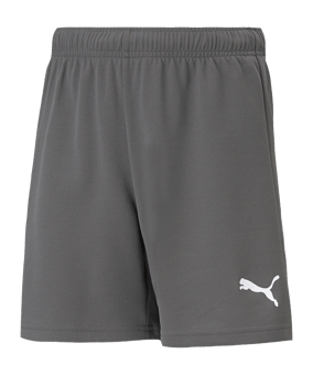 PUMA teamRISE Short Grau Weiss F13 - grau