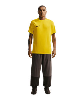 Nike Park VIII Trikot Gelb F719 - gelb