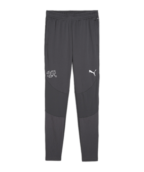 PUMA Schweiz Trainingshose EM 2024 Grau F11 - grau