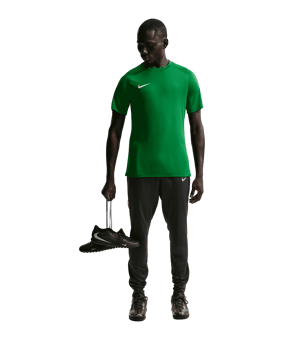 Nike Park VIII Trikot Grün F302