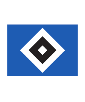 adidas Hamburger SV Sturm & Glanz Sondertrikot - weiss