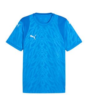PUMA teamCUP Trikot Blau F02