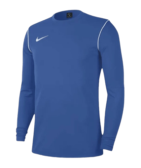 Nike Park 20 Sweatshirt Blau Weiss F463 - blau