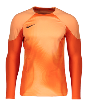 Nike Gardien IV Torwarttrikot langarm Orange F819 - orange