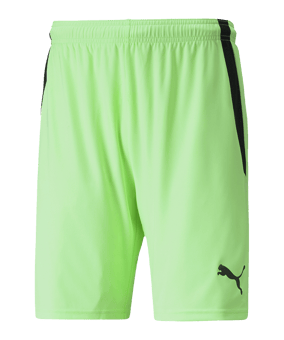 PUMA teamLIGA Short Grün Schwarz F20 - gruen