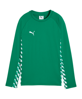 PUMA teamLIGA26 Training Sweatshirt Kids Grün F05 - gruen
