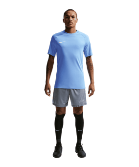 Nike Park VIII Trikot Blau F412 - blau
