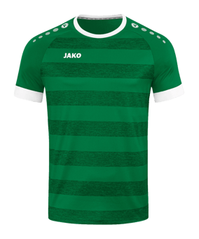 JAKO Celtic Melange KA Trikot Grün F200 - gruen